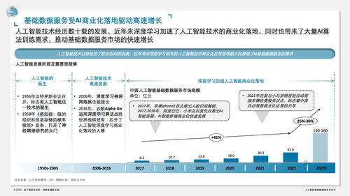 《德勤咨詢 人工智能基礎數據服務與軟件開發白皮書》——構筑智能時代的基石