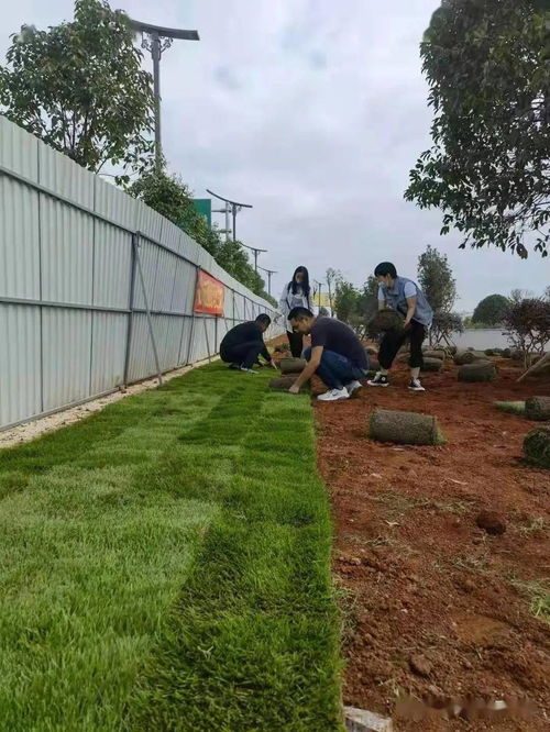 黨建引領辦實事，綠化機場路更美——市交管處黨支部開展主題黨日活動
